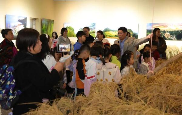 小记者团探秘京西稻：米饭的由来与传承