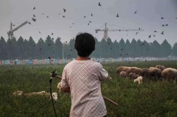 影像：乡村·共生 | 中国的乡村转型与影像艺术实践